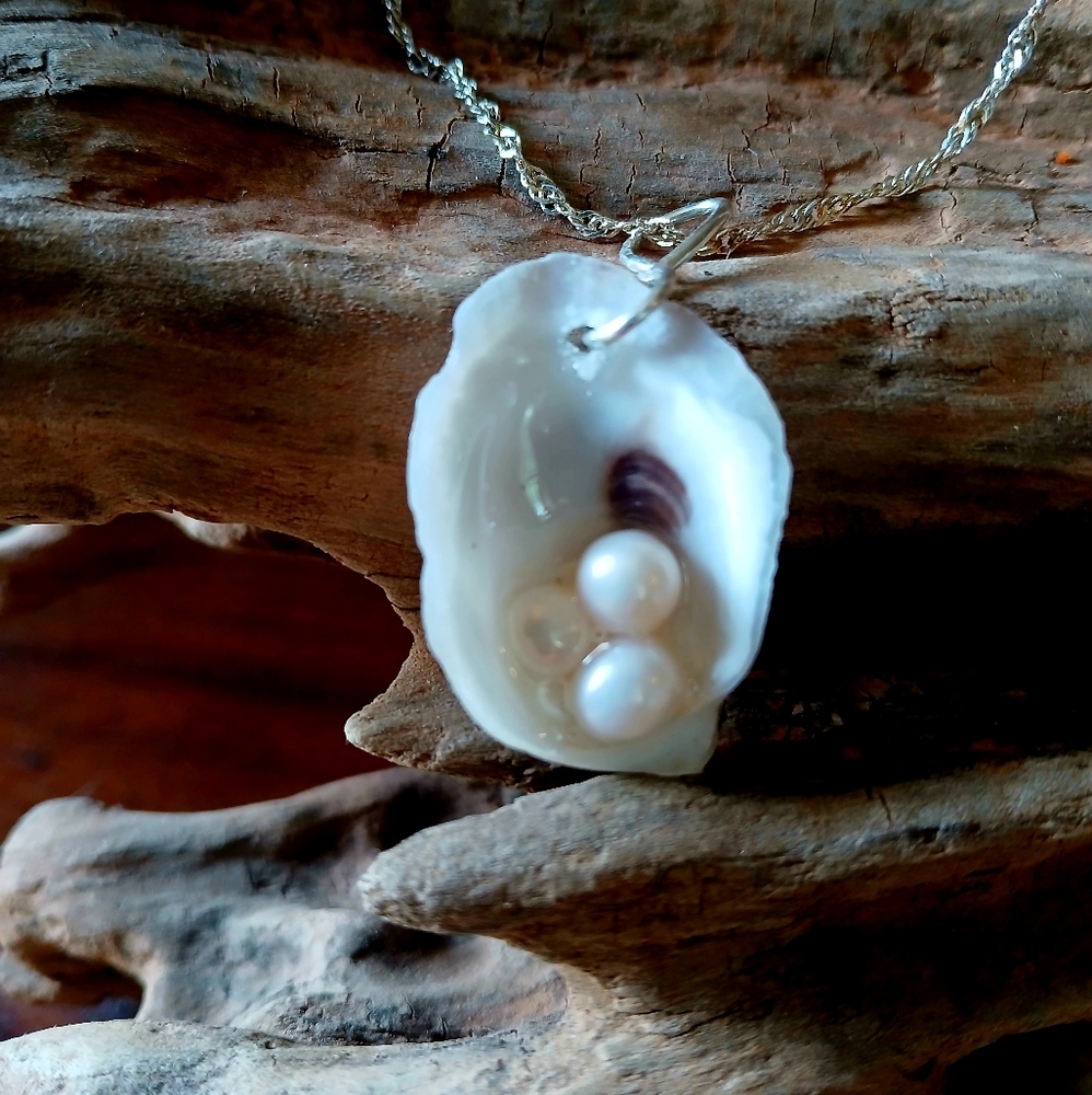 HandCrafted Oyster Shell Necklace With Freshwater Pearls With Sterling Silver Ch